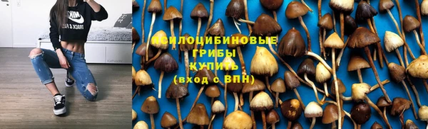 PSILOCYBIN Бугульма